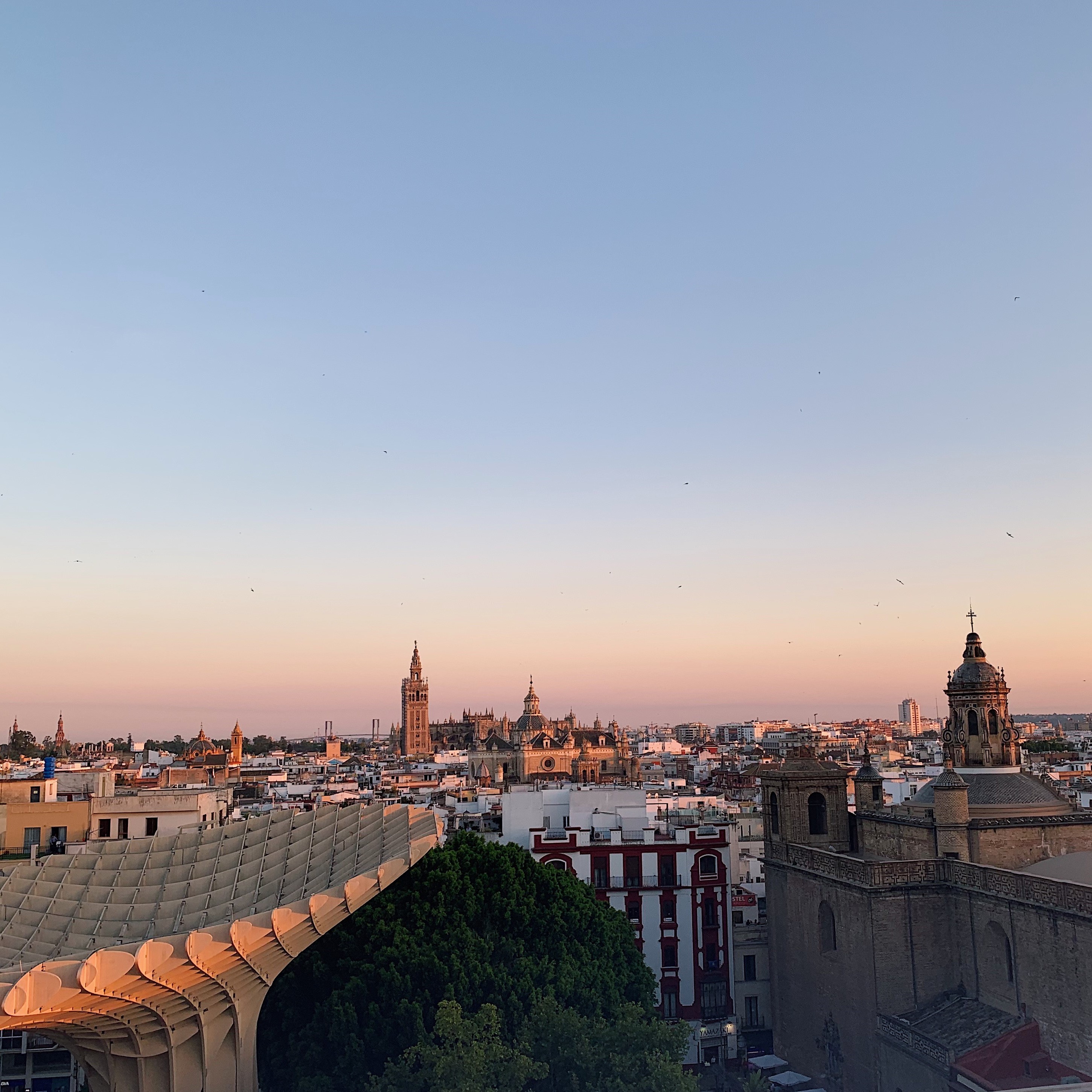 Metropol Parasol